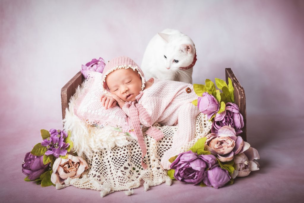 A&M Mazur Photography | Family Photographer London A&M Mazur Photography | Family Photographer London